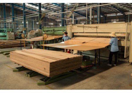 Hình ảnh công ty - Shang Wood Industries - Công Ty TNHH Shang Wood Industries